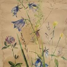 'פרחי בר' - גואש על נייר