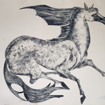 'סוס' - ליטוגרפיה, דפוס אבן, חתומה