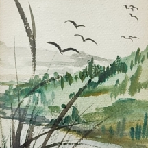 'שחפים וקנים' - אקוורל על נייר