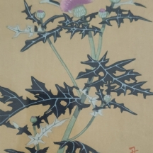 'דרדרים' - ציור יפני