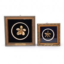 זוג פרחי סחלב, טבולים בזהב, ממוסגרים