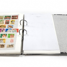 אלבום בולי חתולים