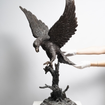 פסל ברונזה גדול מימדים בדמות נשר, פטינה חומה, נושא חתימה