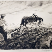 קורט מאייר-אברהרדט (Kurt Meyer-Eberhardt 1895-1977, גרמניה) תצריב