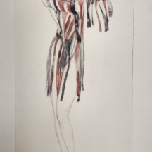 מקס פולק (Max Pollak, 1886-1970, אוסטריה/ארה"ב) - 'ליצן' תצריב צבעוני