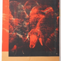 מנשה קדישמן (1932-2015)- עדר כבשים על רקע אדום, הדפס מוצמד לבד, חתום בעפרון