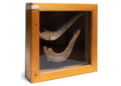 זוג שופרות בתוך ארונית לתלייה על הקיר עשויה עץ זכוכית ובד