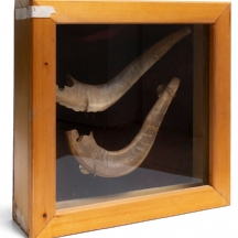 זוג שופרות בתוך ארונית לתלייה על הקיר עשויה עץ זכוכית ובד