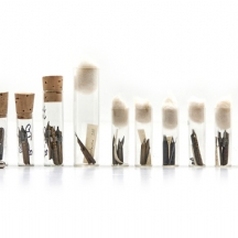 יחידות ראשי עט איכותיות מתוצרת יצרנים שונים, גדלים ומידות שונות