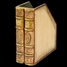 מחזיק ספרים