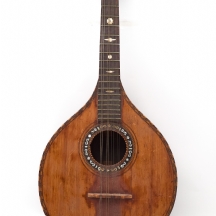 כלי מיתר מסוג 'Waldzither', תחילת המאה ה־20