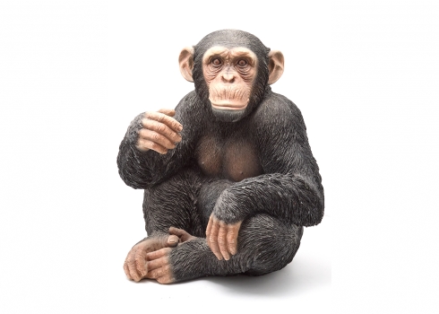 פסל מרשים בדמות קוף שימפנזה, עשוי חומר יצוק וקשיח, בגימור ריאליסטי