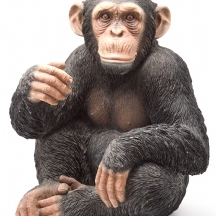 פסל מרשים בדמות קוף שימפנזה, עשוי חומר יצוק וקשיח, בגימור ריאליסטי