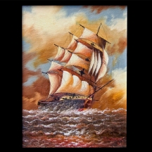 'ספינה בלב ים'