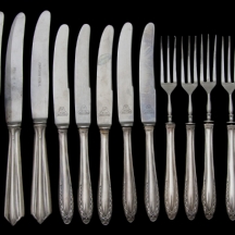 לוט של מזלגות וסכינים